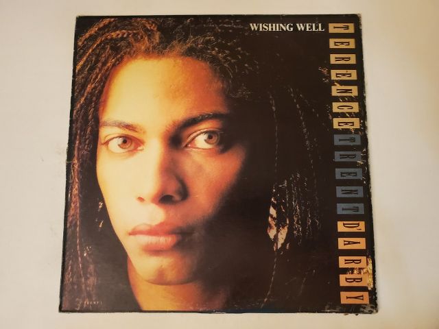 Terence Trent D'Arby Introducing the Hardline According to Terence Trent D'Arby vinyl record