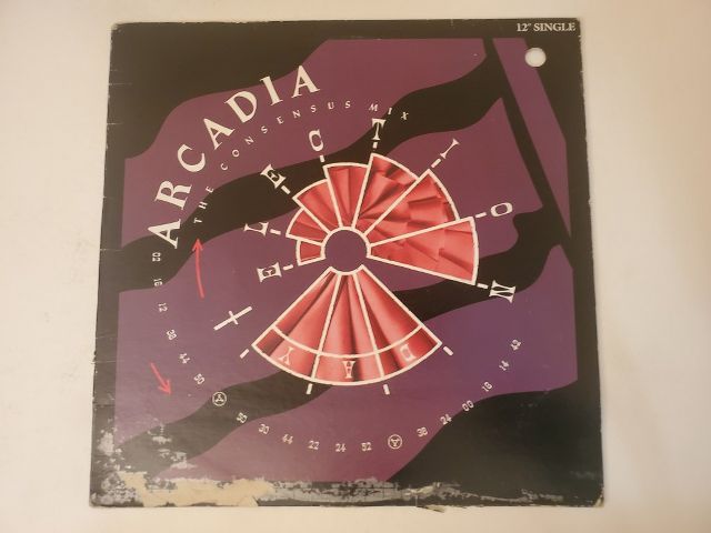 Arcadia Election Day (Consensus Mix) vinyl record
