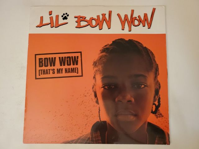 Lil Bow Wow Beware of Dog vinyl record
