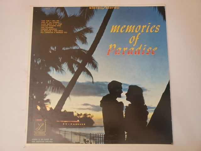 Unknown Memories of Paradise vinyl record