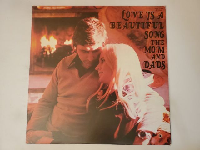 The Mom and Dads Love Is A Beautiful Song vinyl record