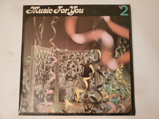 Unknown Music For You 2 vinyl record