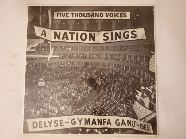 Unknown A Nation Sings vinyl record