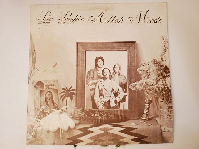 Pied Pumpkin String Ensemble Allah Mode vinyl record