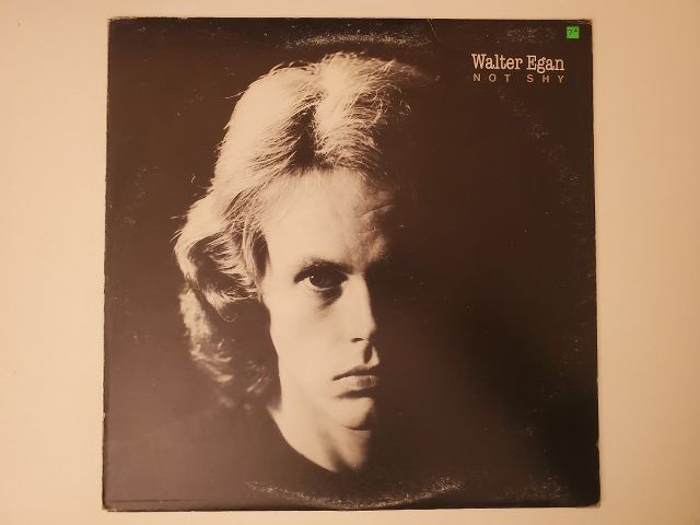 Walter Egan Not Shy vinyl record