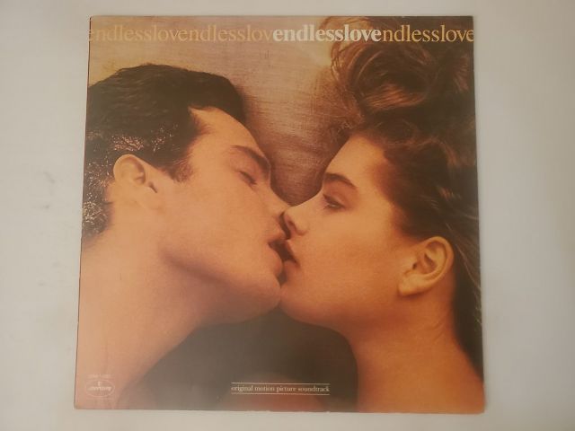 Various Artists Endless Love (Original Motion Picture Soundtrack) vinyl record
