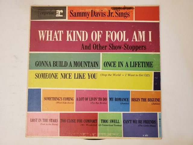 Sammy Davis Jr. What Kind of Fool Am I and Other Show-Stoppers vinyl record