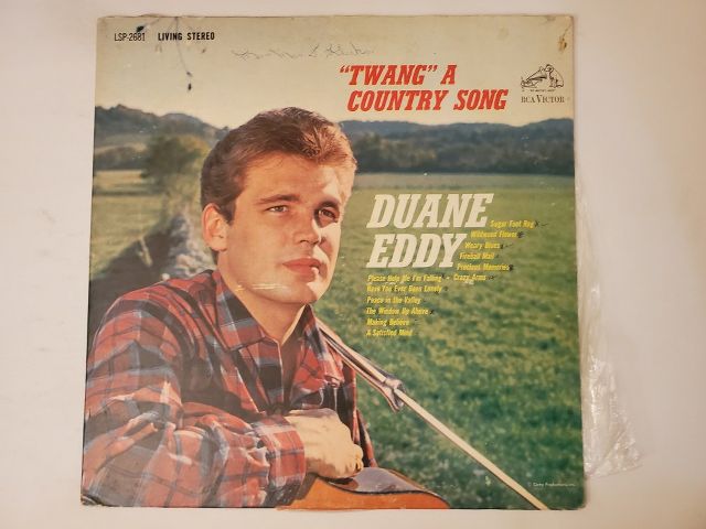 Duane Eddy Twang A Country Song vinyl record