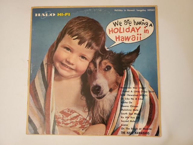 The Halo Hawaiians We Are Having a Holiday in Hawaii vinyl record