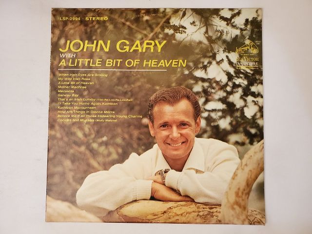 John Gary A Little Bit of Heaven vinyl record