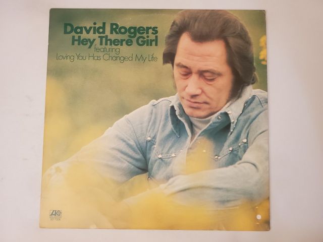 David Rogers Hey There Girl vinyl record
