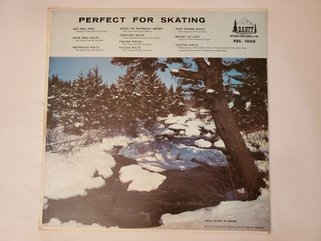 Various Artists Perfect for Skating vinyl record