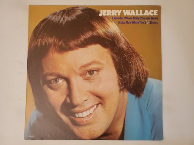 Jerry Wallace I Wonder Whose Baby (You Are Now) vinyl record