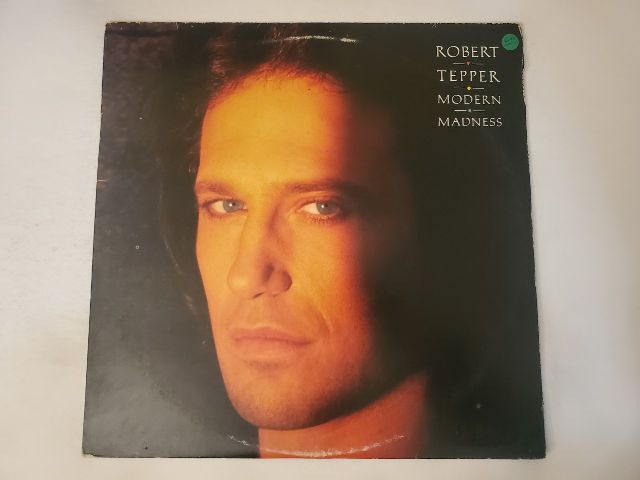 Robert Tepper Modern Madness vinyl record