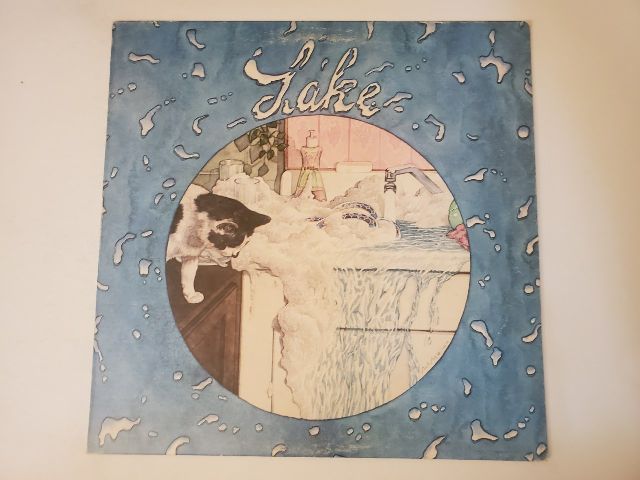 Lake Lake vinyl record