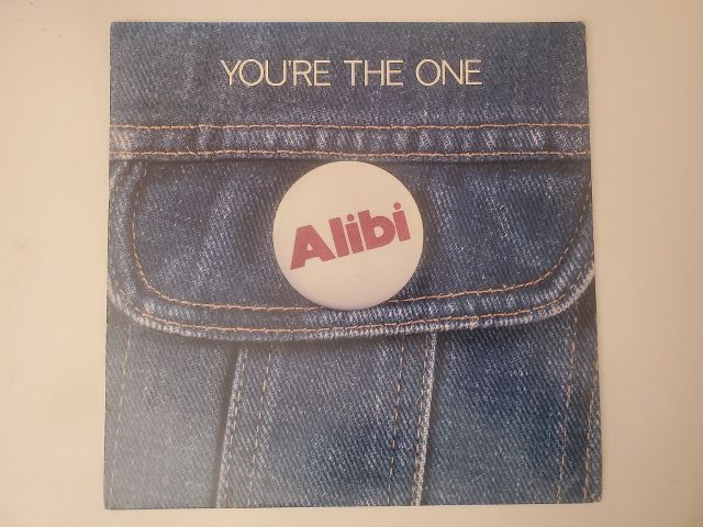 Alibi You're the One vinyl record