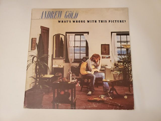 Andrew Gold What's Wrong With This Picture? vinyl record