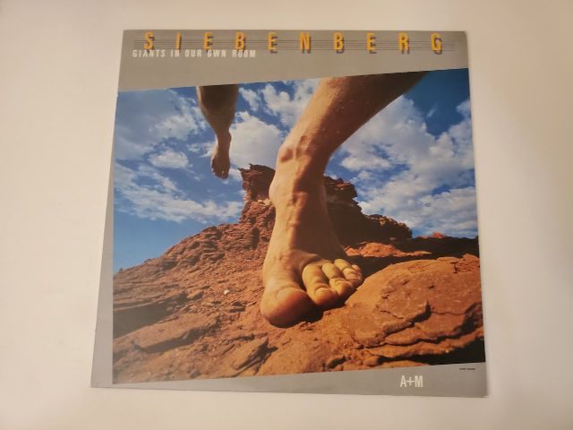 Siebenberg Giants In Our Own Room vinyl record