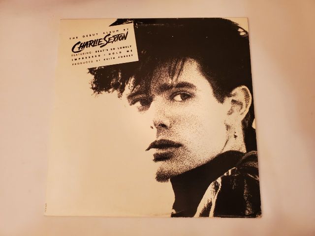 Charlie Sexton Pictures for Pleasure vinyl record