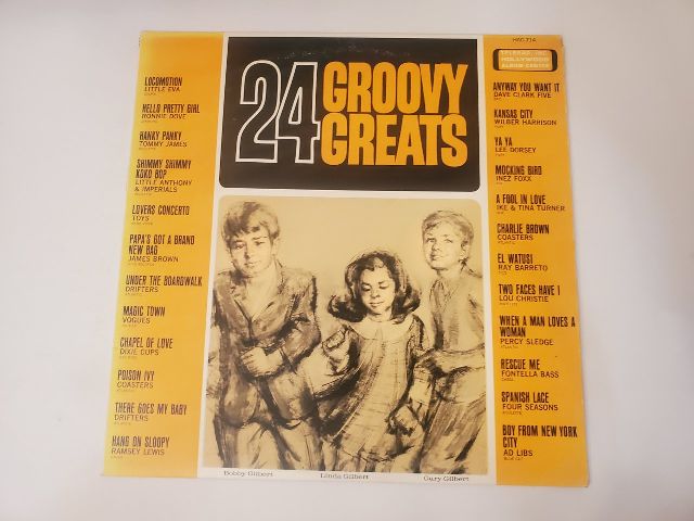 Various Artists 24 Groovy Greats vinyl record