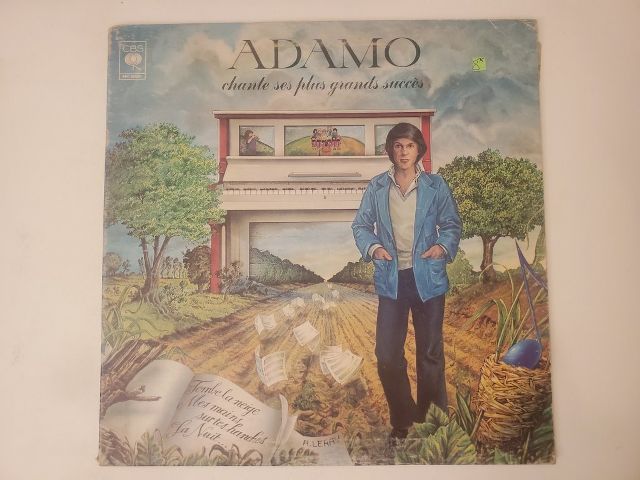 Adamo Adamo chante ses plus grands succ?s vinyl record