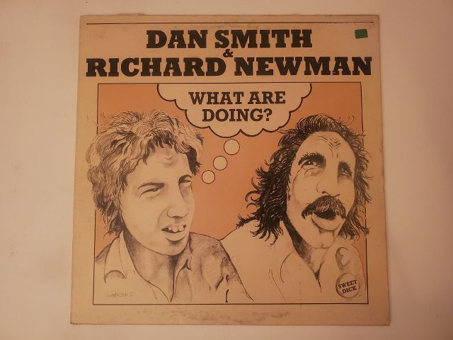 Dan Smith & Richard Newman What Are Doing? vinyl record