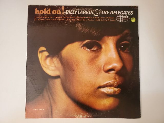 Billy Larkin & The Delegates Hold On vinyl record