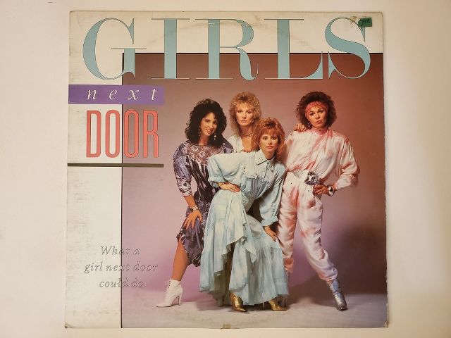 Girls Next Door What a Girl Next Door Could Do vinyl record