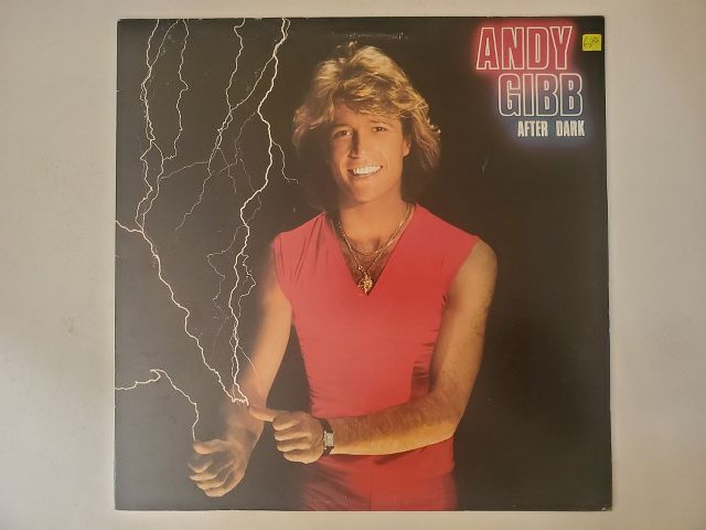 Andy Gibb After Dark vinyl record