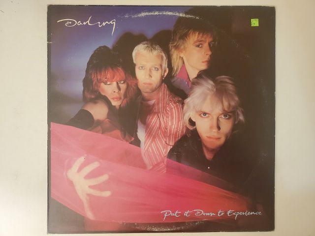 Darling Put It Down to Experience vinyl record