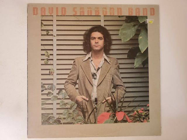 David Sanborn Band David Sanborn vinyl record