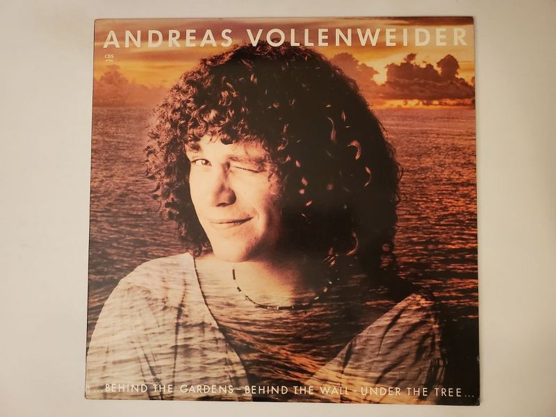 Andreas Vollenweider Behind the Gardens ? Behind the Wall ? Under the Tree... vinyl record