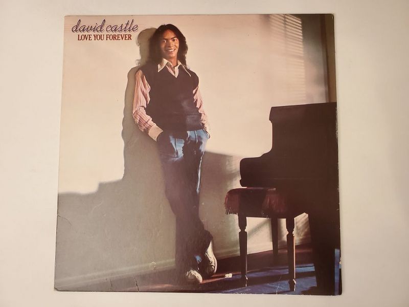 David Castle Love You Forever vinyl record