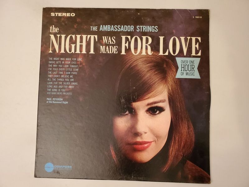 The Ambassador Strings The Night Was Made for Love vinyl record