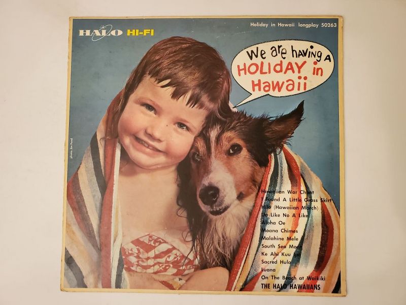 The Halo Hawaiians We Are Having a Holiday in Hawaii vinyl record