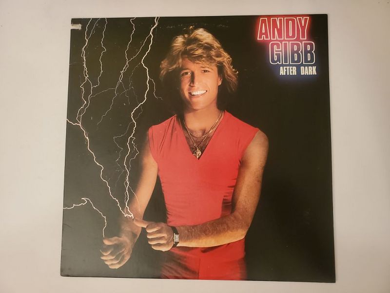Andy Gibb After Dark vinyl record